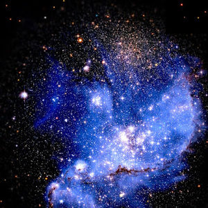 Meet your Posher, Scotty